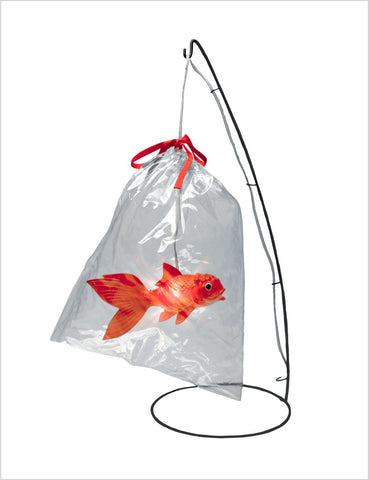 Poisson D'Avril TL